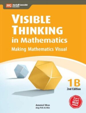 Visible Thinking in Mathematics 1B