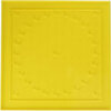 GEOBOARD 28CM (11X11 PIN 24C)